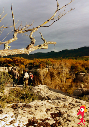 Promenades sonores en Provence Verte